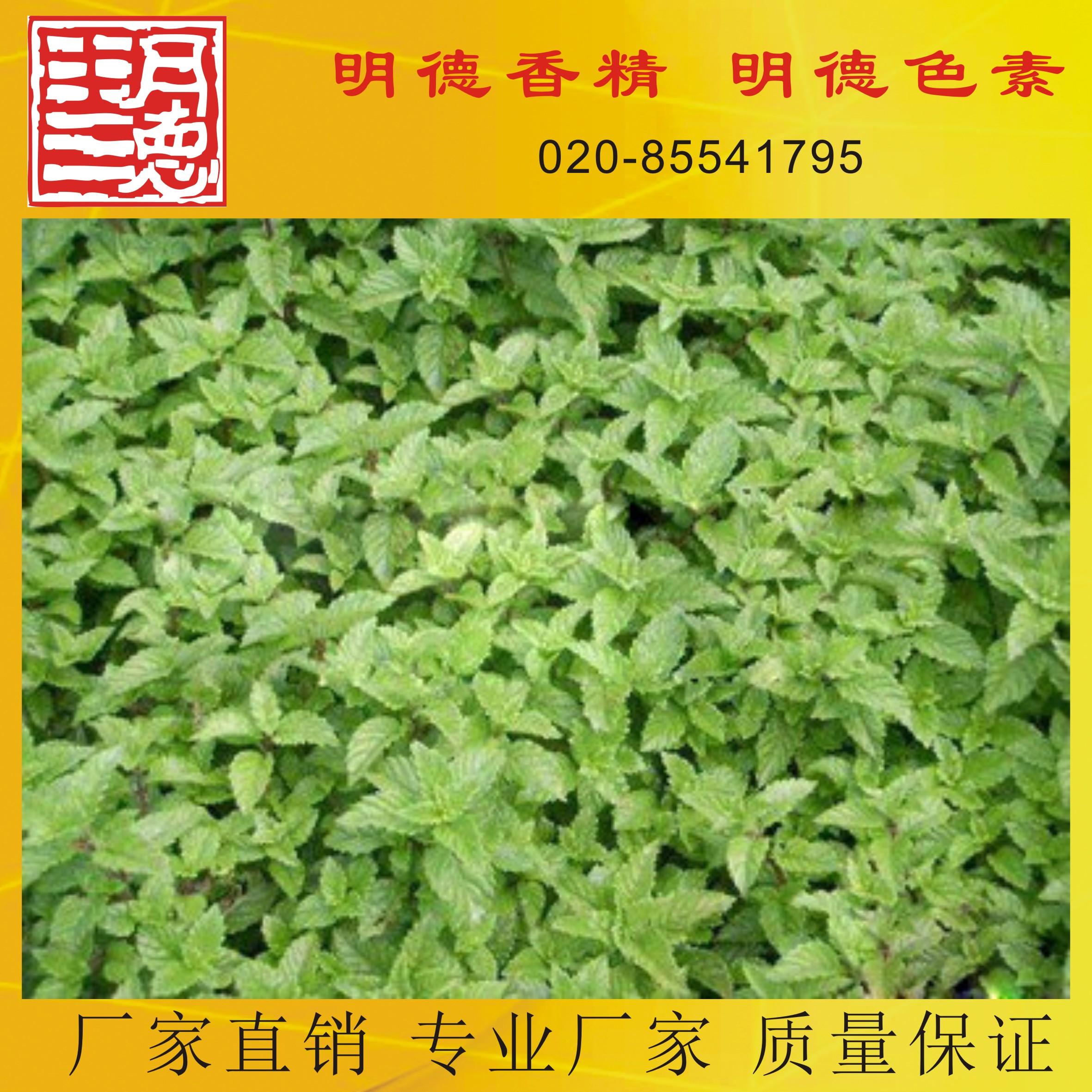 點(diǎn)擊查看詳細(xì)